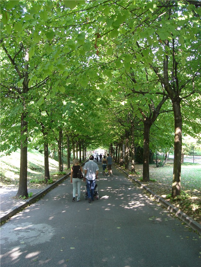 zimovaliste